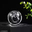 3D Dolphin Crystal Ball Night Lamp,Dolphin Crystal Ball Night Light with ON/Off Switch Button, USB Cable Colorful LED Wooden Crystal Ball for Home Decoration Birthday Gift (Dolphin)